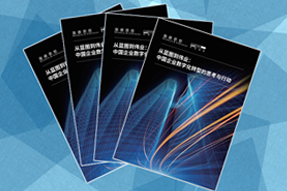 《从蓝图到伟业：中国企业数字化转型的思考与行动》
